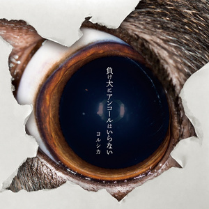 海贼王女帝牢狱三部曲漫画
