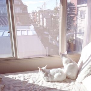 海贼王女帝牢狱三部曲漫画
