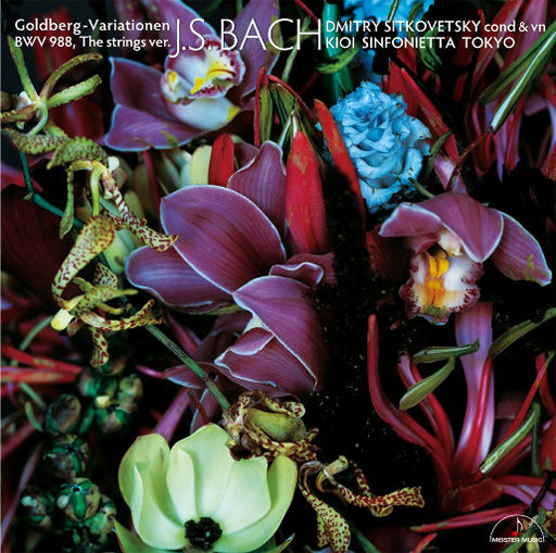 海贼王女帝牢狱三部曲漫画
